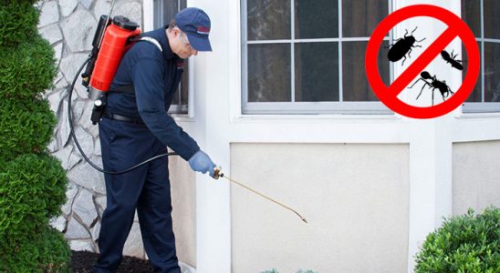 Korkuteli Gümüşkurt İlaçlama böcek ilaçlama ve haşere kontrolü — ilaclama-tr.com